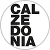 Calz — klijent agencije Foreign Workforce